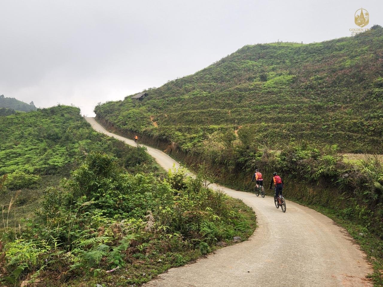 The Ultimate Guide to Mountain Biking Vietnam: Epic Trails, Hidden Gems, and Unforgettable Adventures